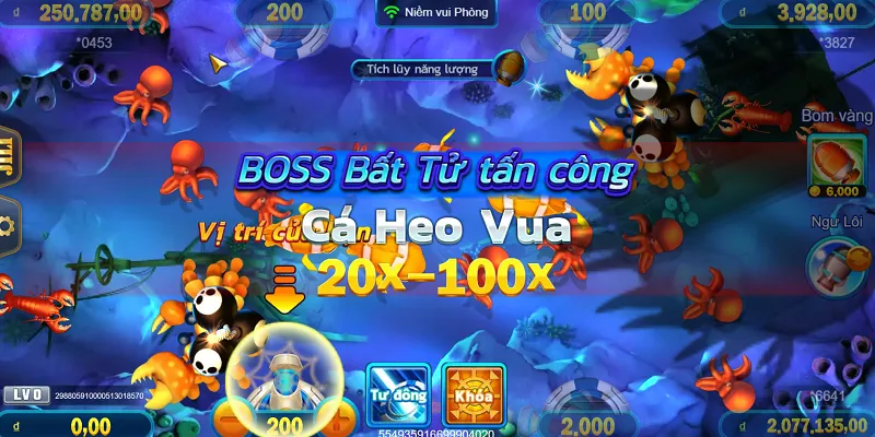 Khái quát về tool bắn cá